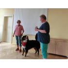 2017_08_08_hundestunde (2).jpg